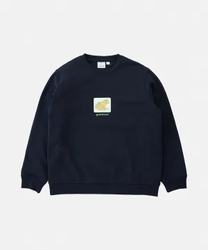 Toad Sweatshirt fade resistance